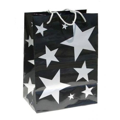  One Dozen Stars Gift Bag - Silver