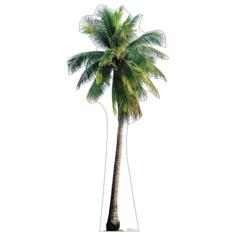  Tropical Palm Tree Life-size Cardboard Cutout #5264